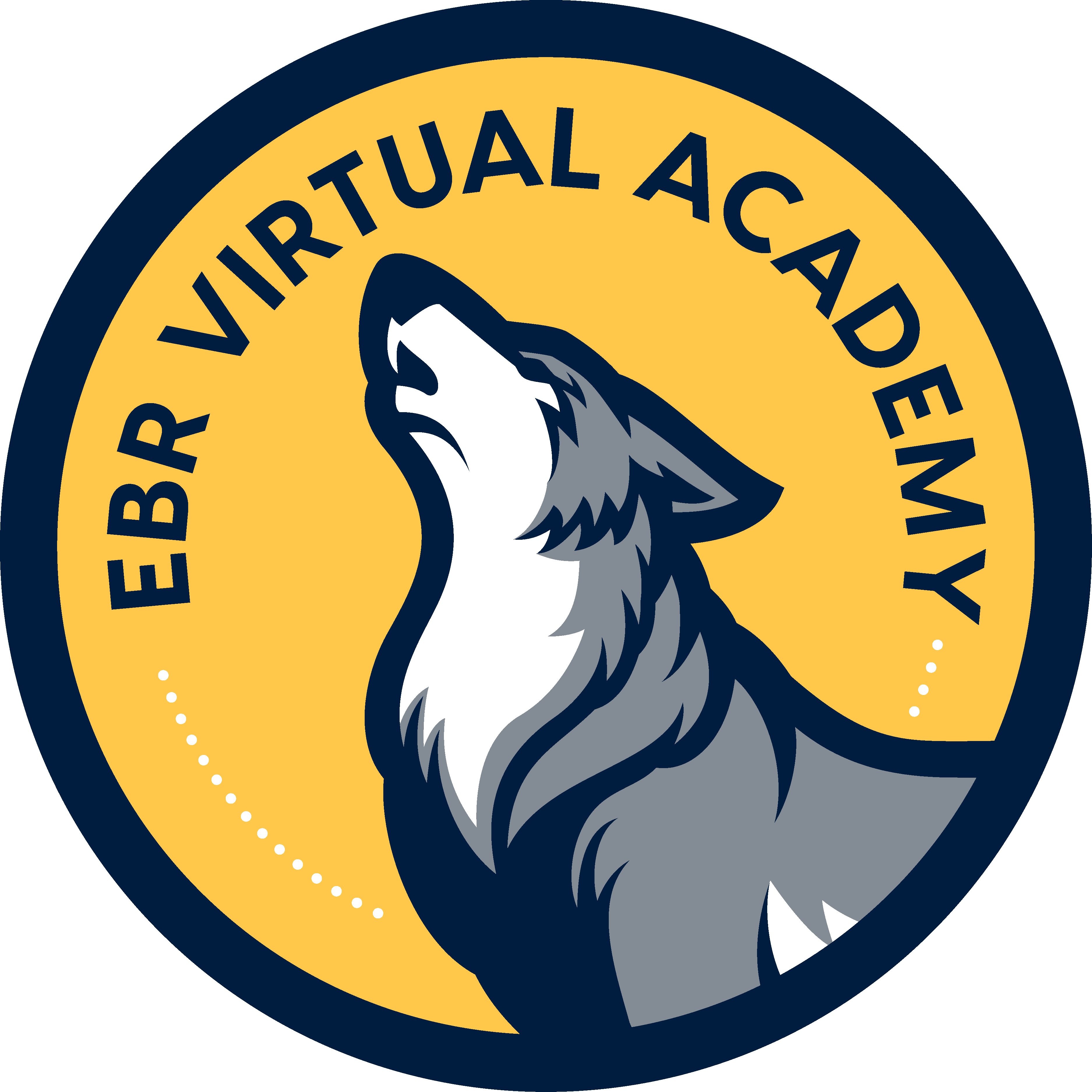 EBR Virtual EBR Schools